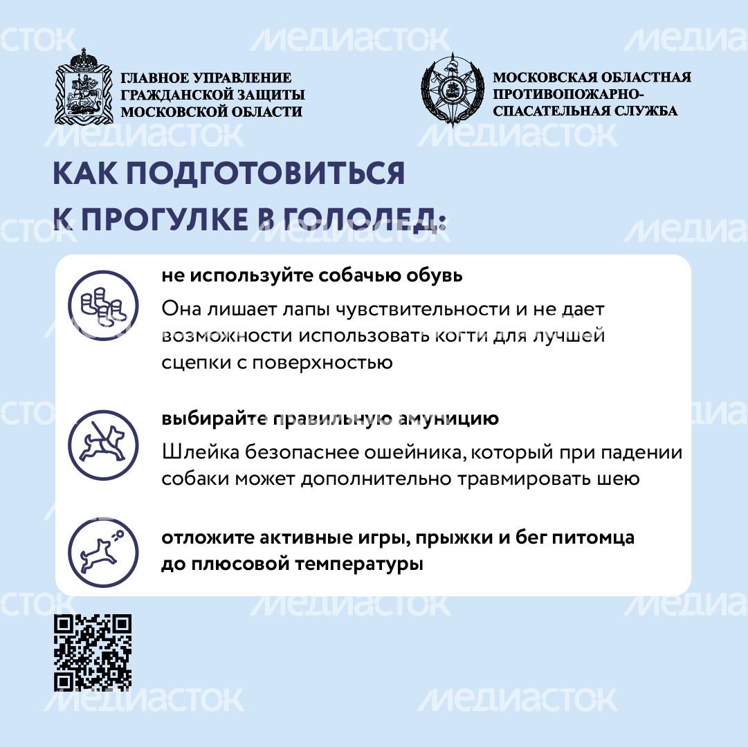 Помощь усатым - квадрат-04
