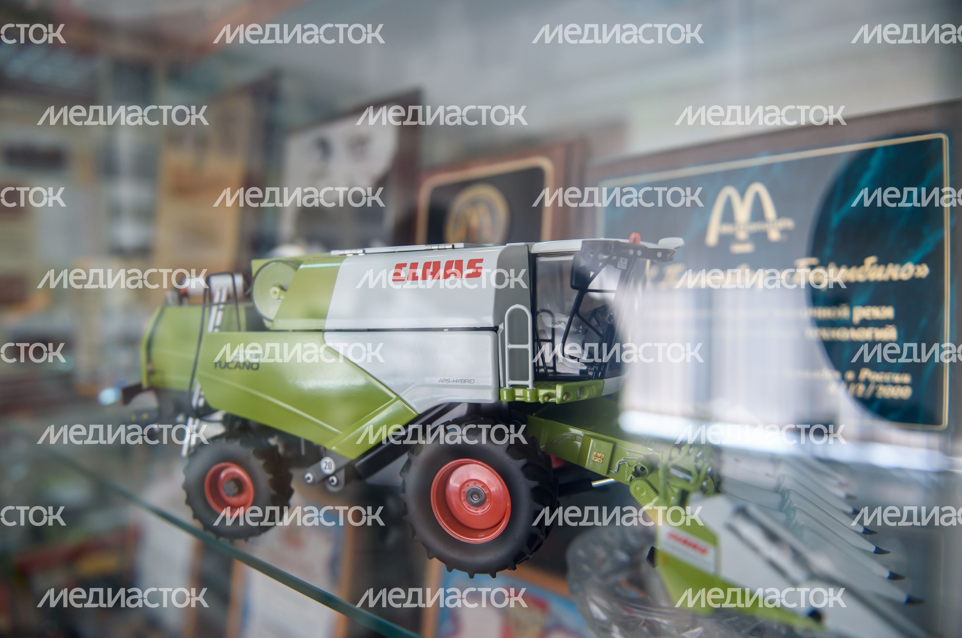 Племзавод «Барыбино» в Домодедове Племзавод «Барыбино» в Домодедове