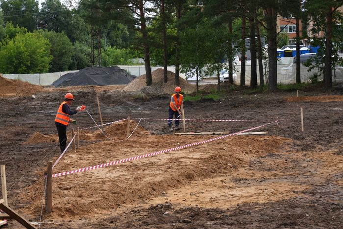 Благоустройство лесопарка "Массовка" в Дедовске