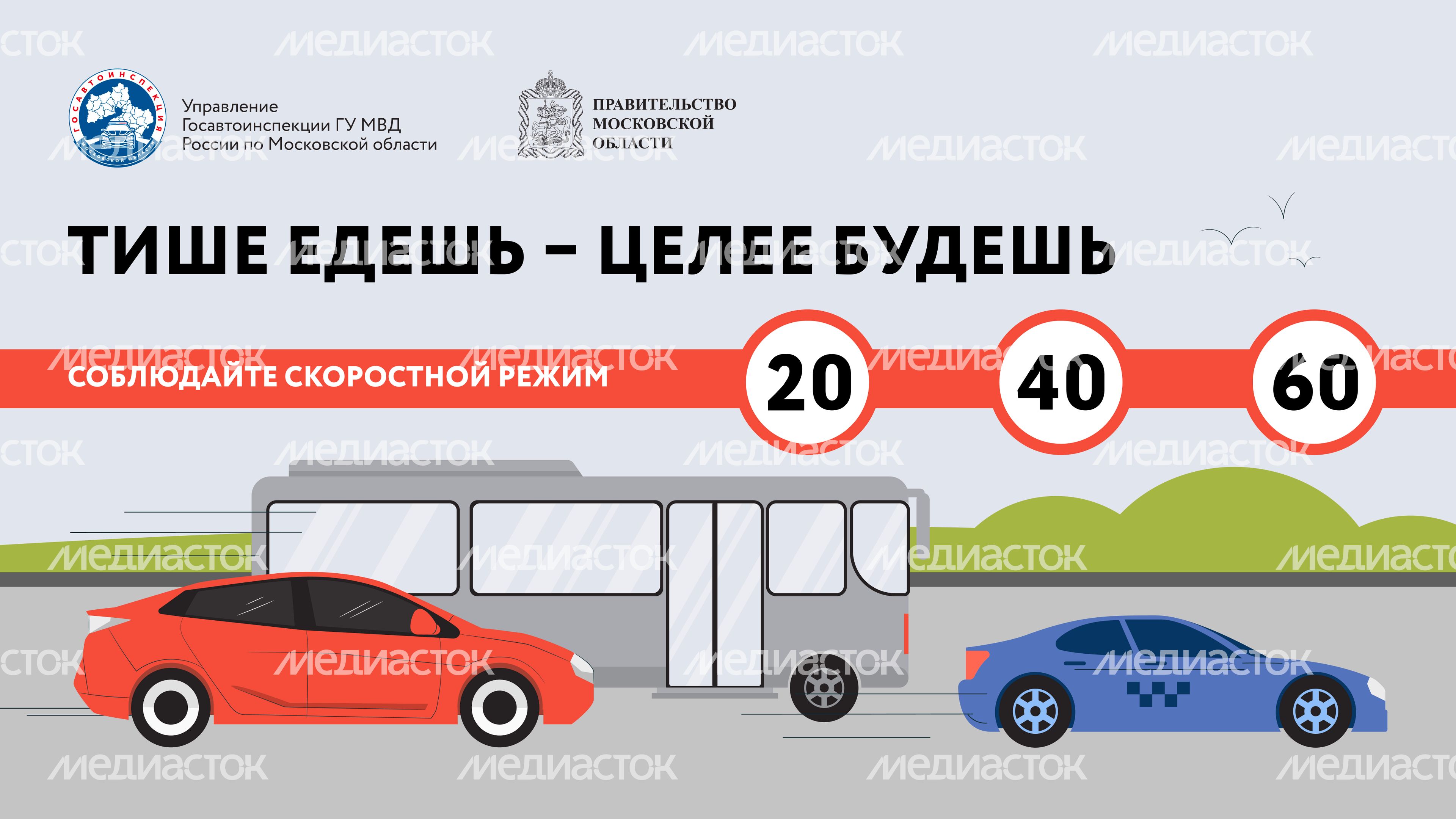 Тише едешь целее будешь Горизонталь 01