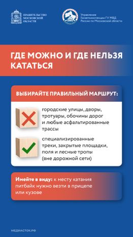 Что такое питбайк вертикаль 06