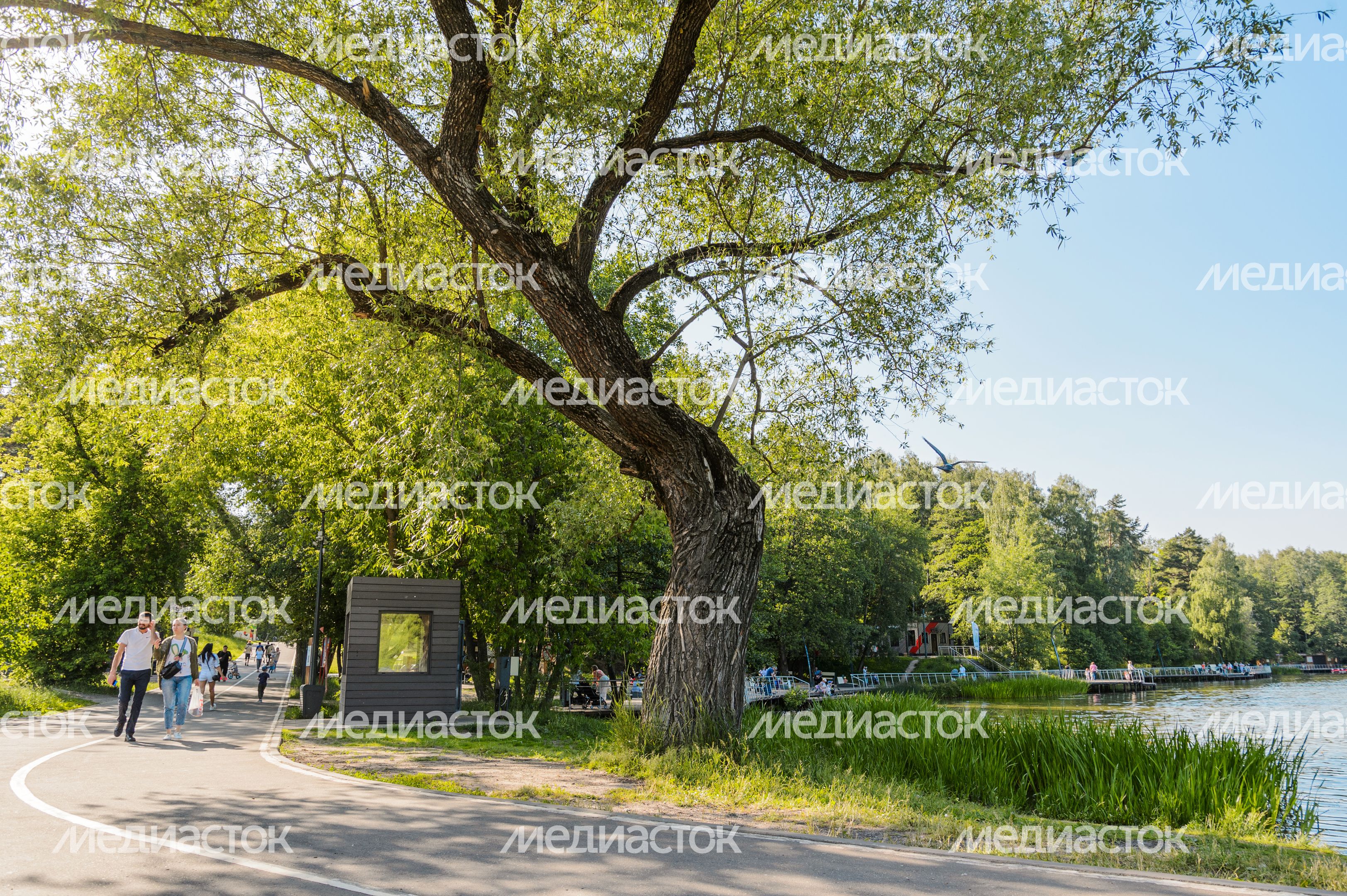 Парк Пехорка