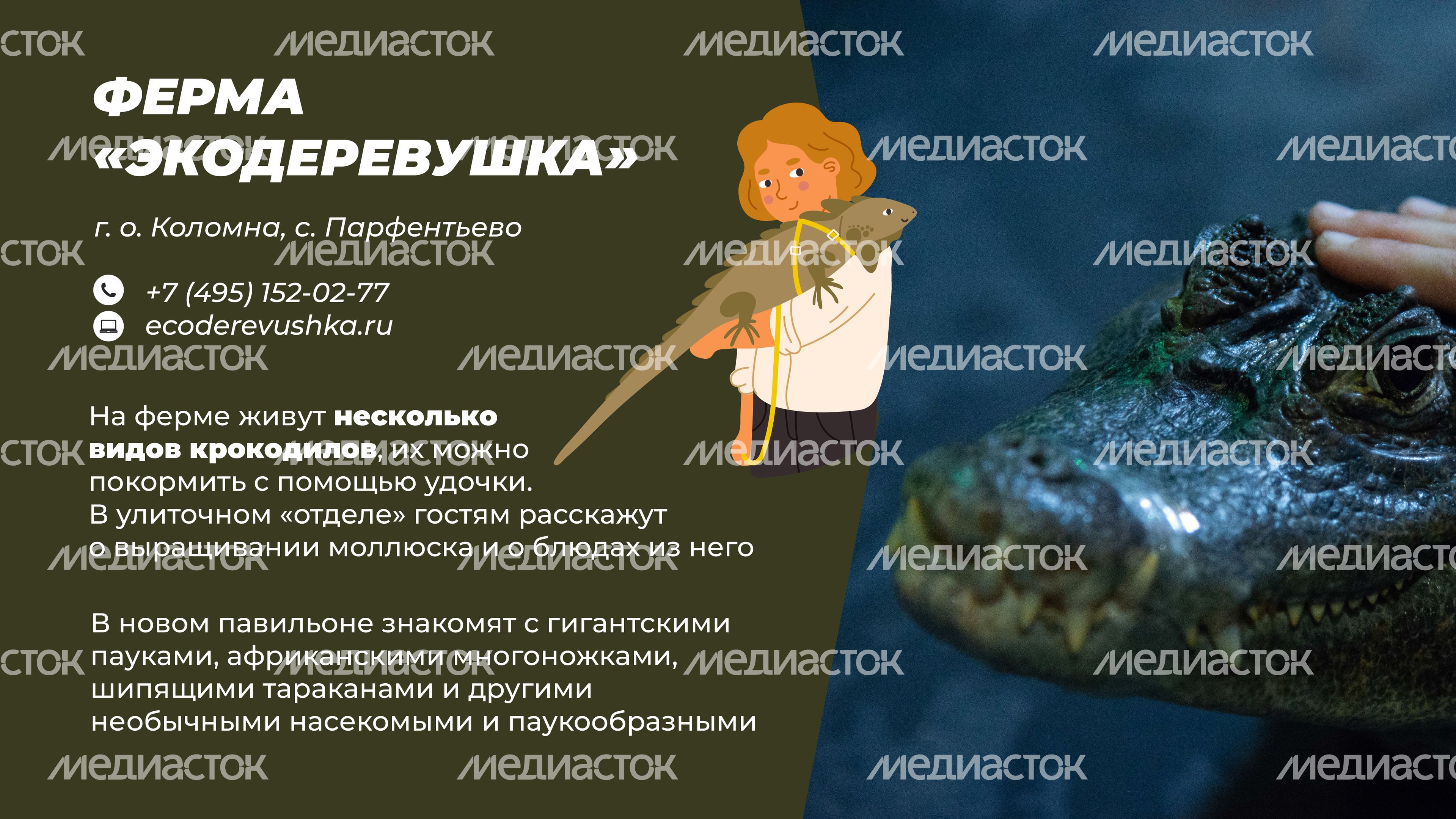 Фермы с животными-13.jpg