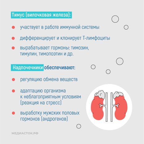 Эндокринные заболевания у наркозависимых квадрат 06