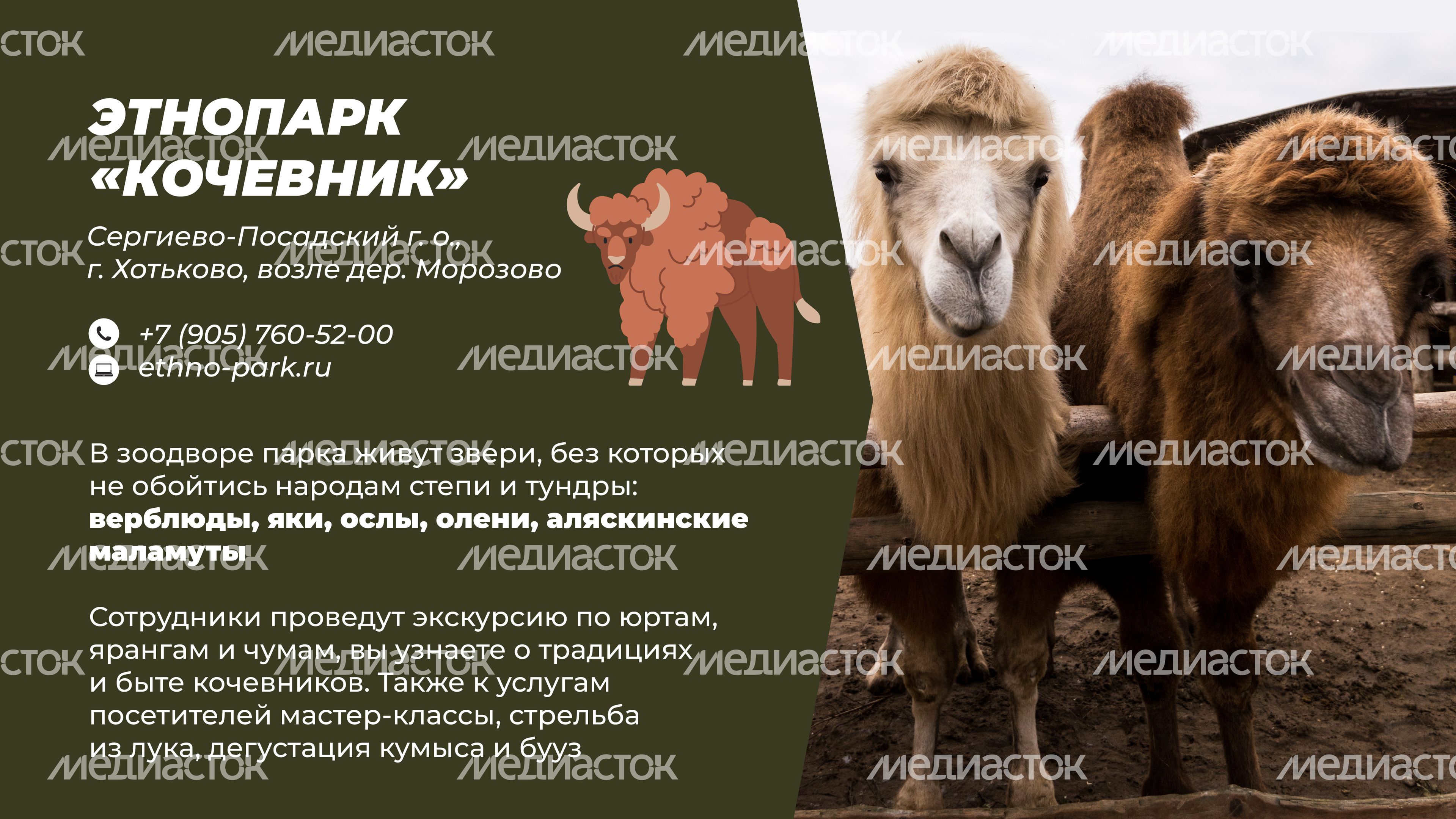 Фермы с животными-15.jpg