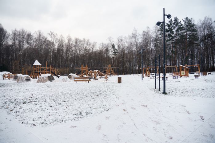 Люберцы. Томилинский лесопарк. Зима