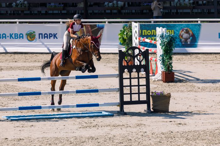 Всадник на Евразийских играх по конкуру в конноспортивном комплексе «Максима парк» в Дмитровском округе