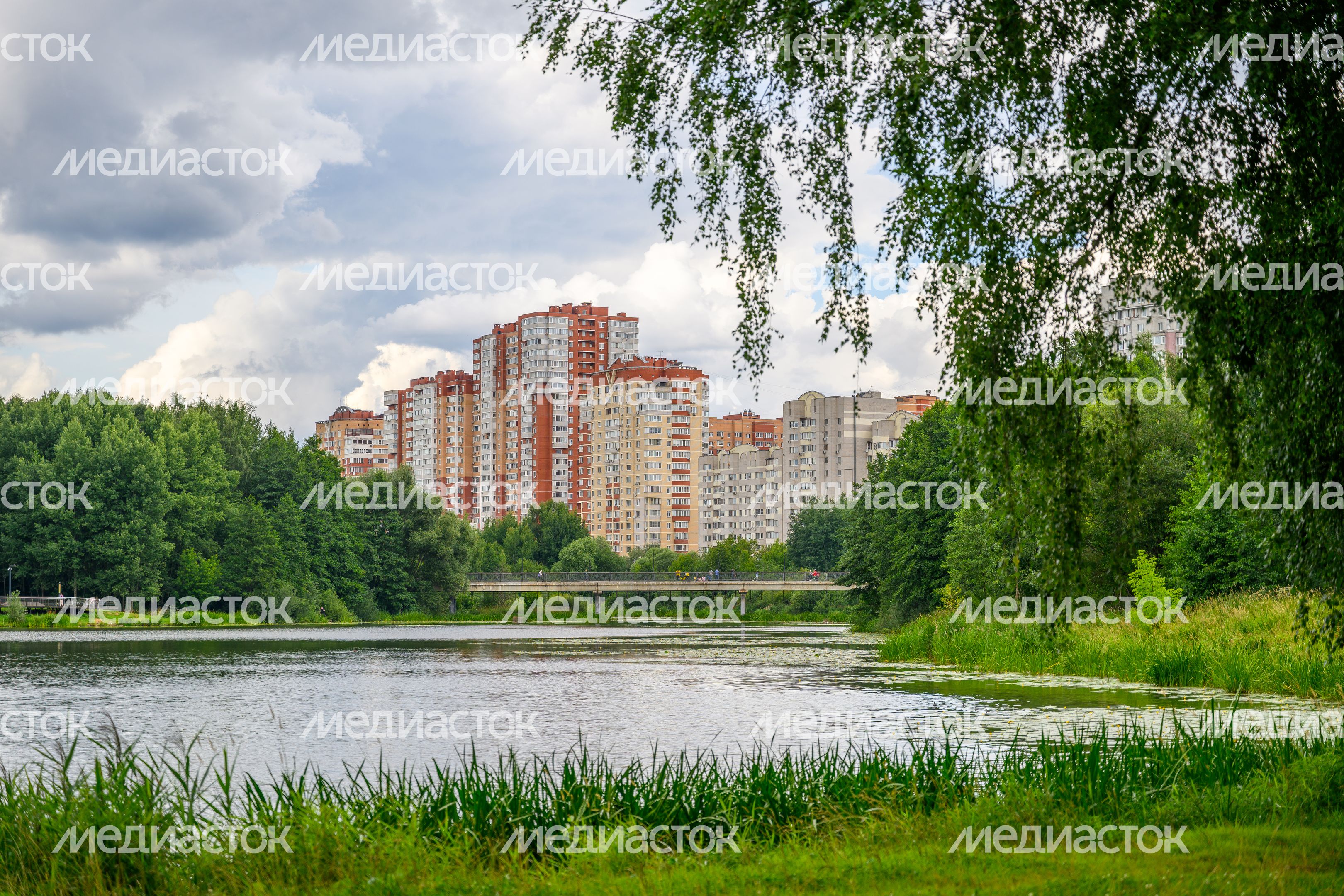 Парк "Заречная" в Балашихе