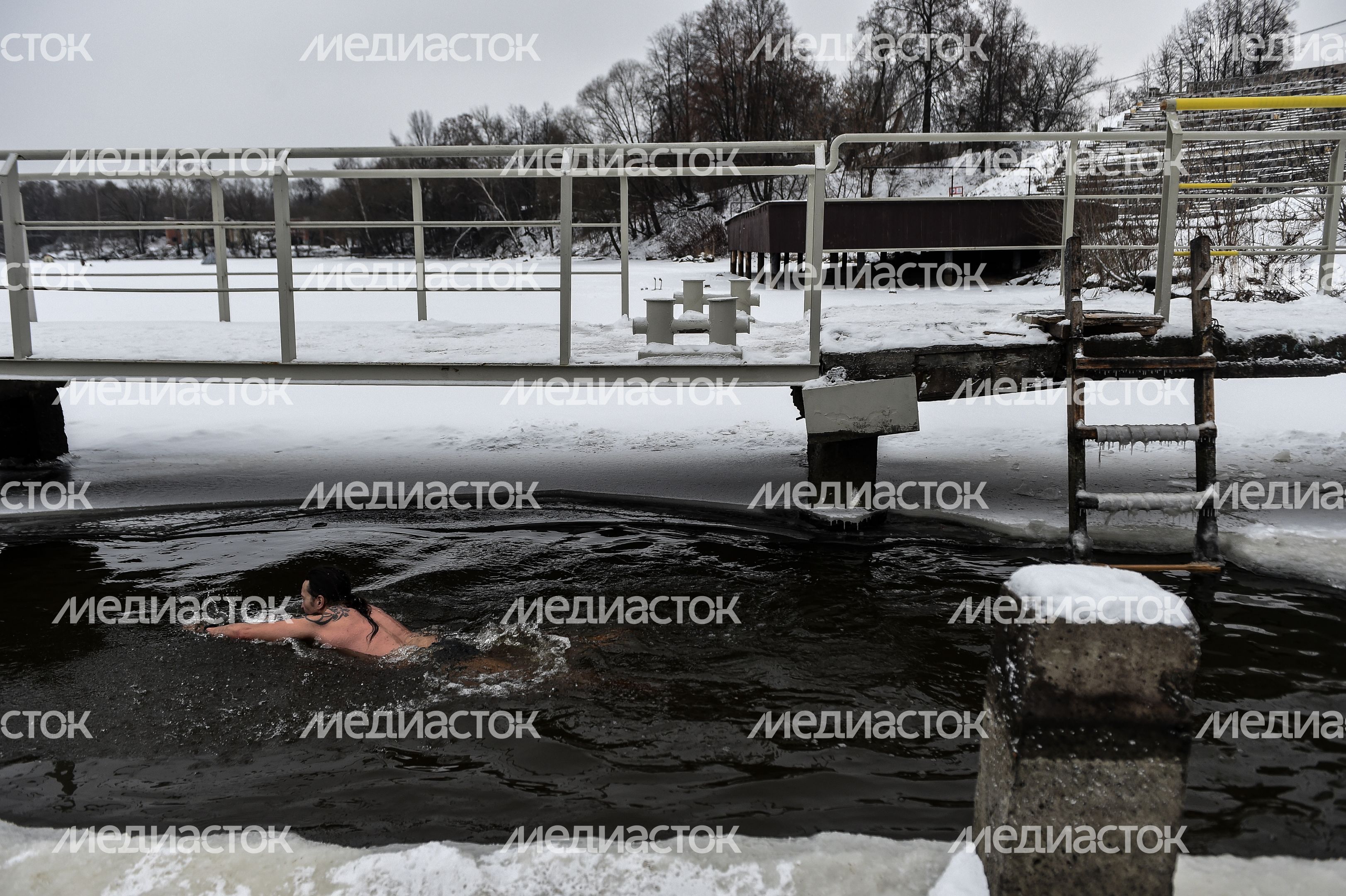 Купание моржей в Долгопрудном