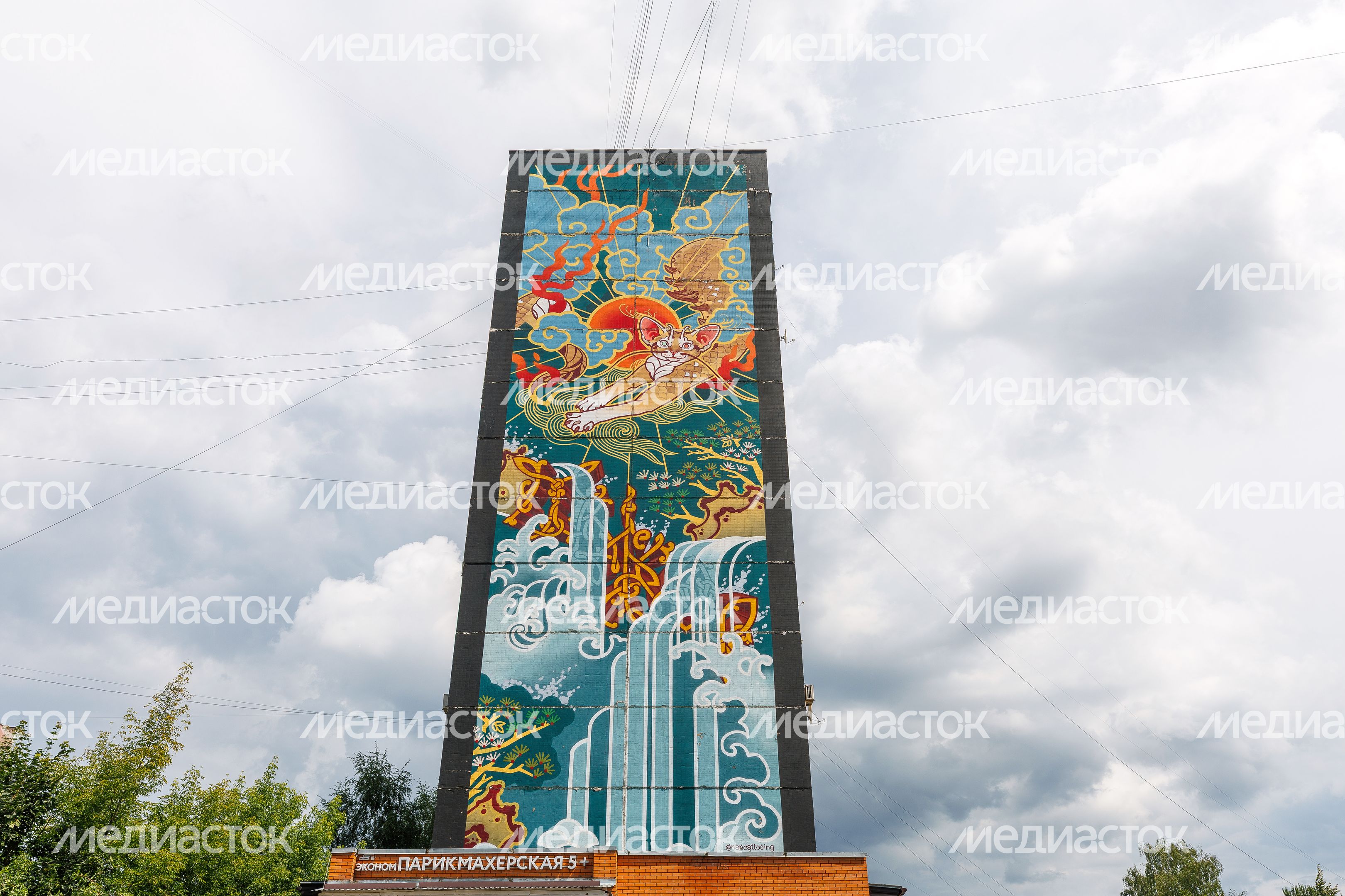 Муралы в Железнодорожном, Балашиха