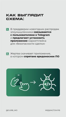 Мошенническая схема Мамонт вертикаль 02