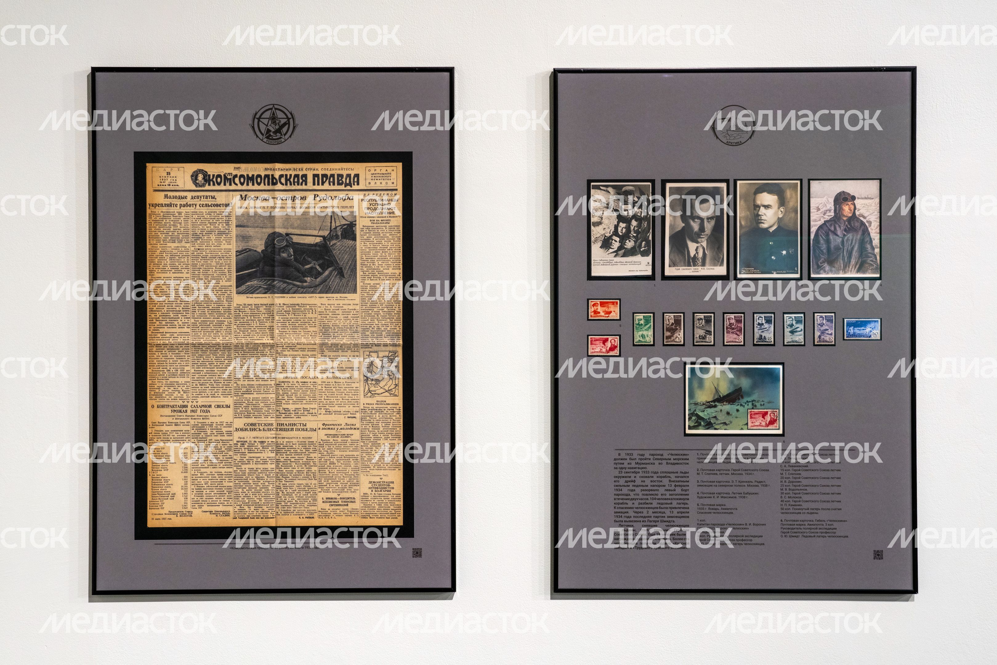 Экспонат выставки «Героическая эпопея», посвященной советской авиации 1920-1930-х гг., в музее «Горки Ленинские» Экспонат выставки «Героическая эпопея», посвященной советской авиации 1920-1930-х гг., в музее «Горки Ленинские»