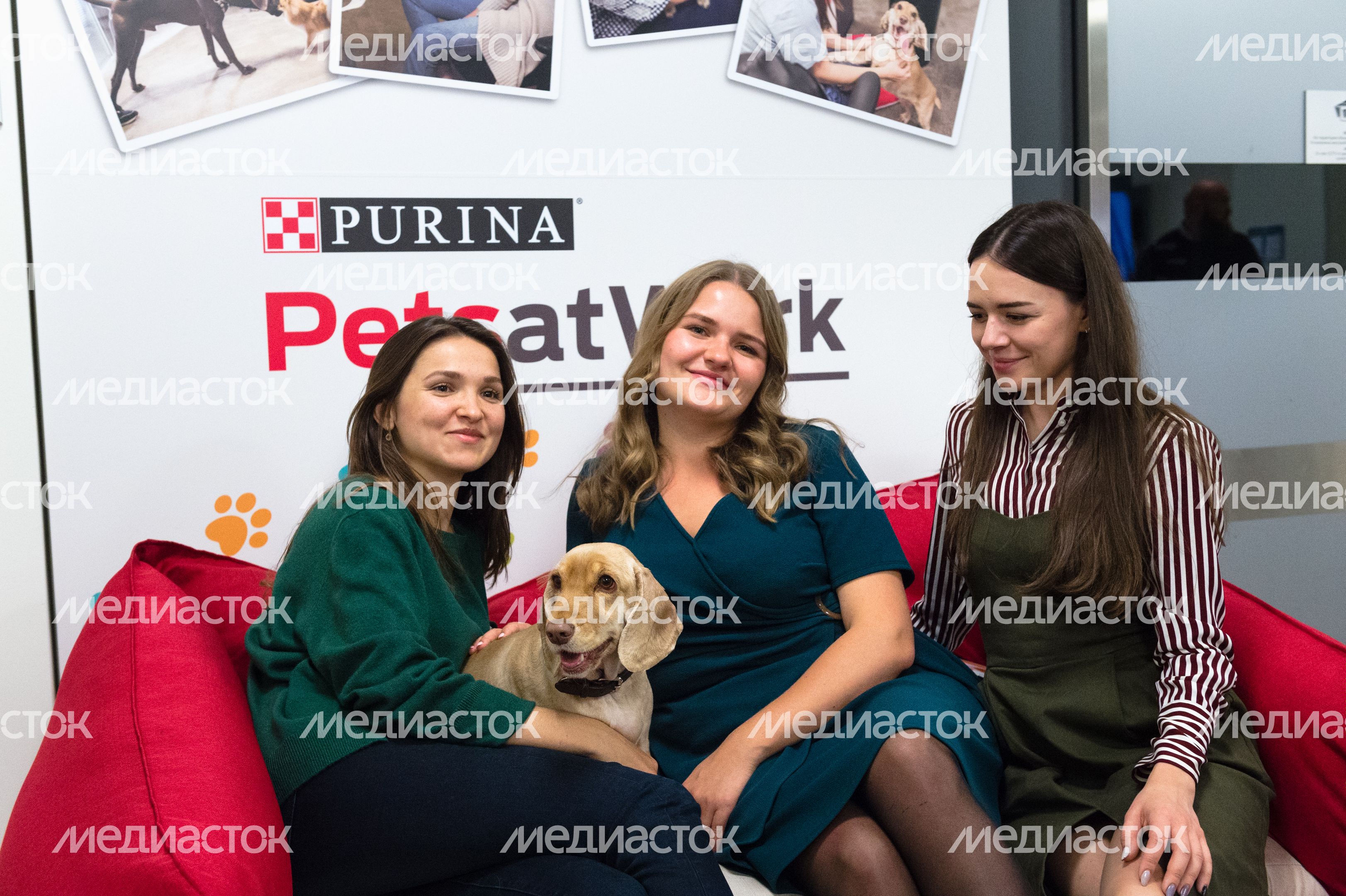 Pet‑friendly офис Purina