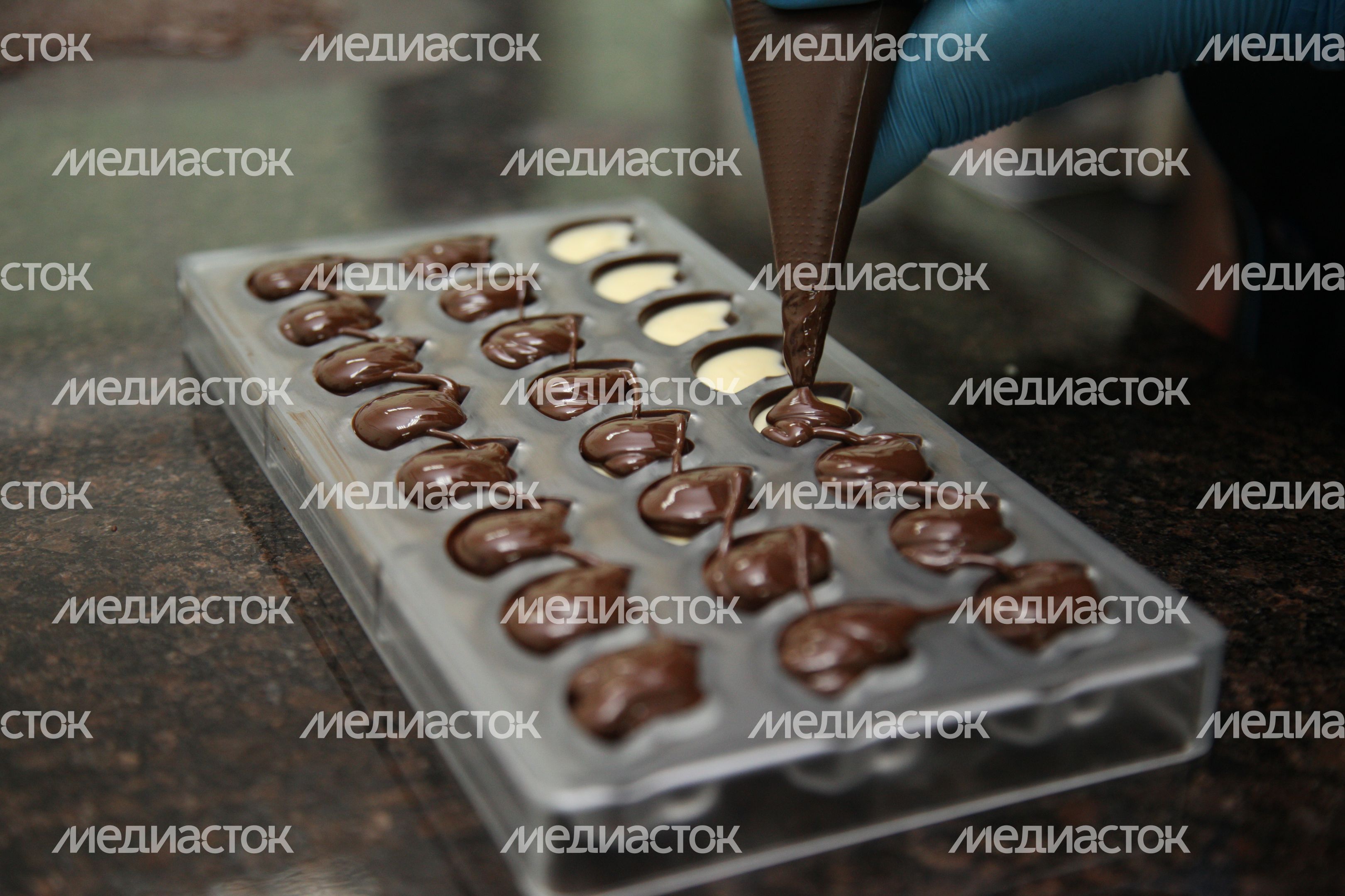 Шоколадная фабрика «ALEXANDRA Le Chocolat» в Дубне