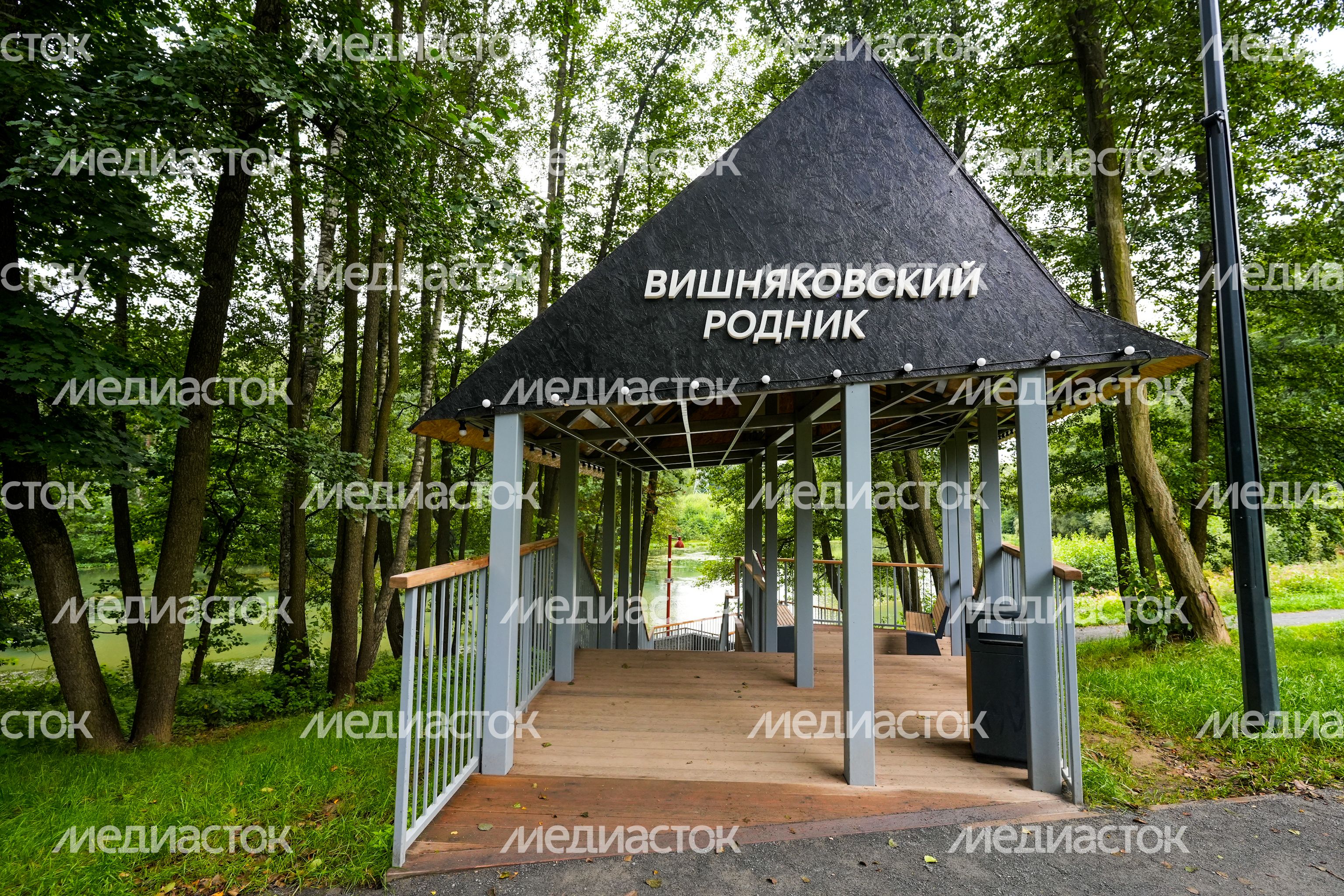 Второй этап благоустройства Вишняковского лесопарка стартовал в Балашихе Второй этап благоустройства Вишняковского лесопарка стартовал в Балашихе