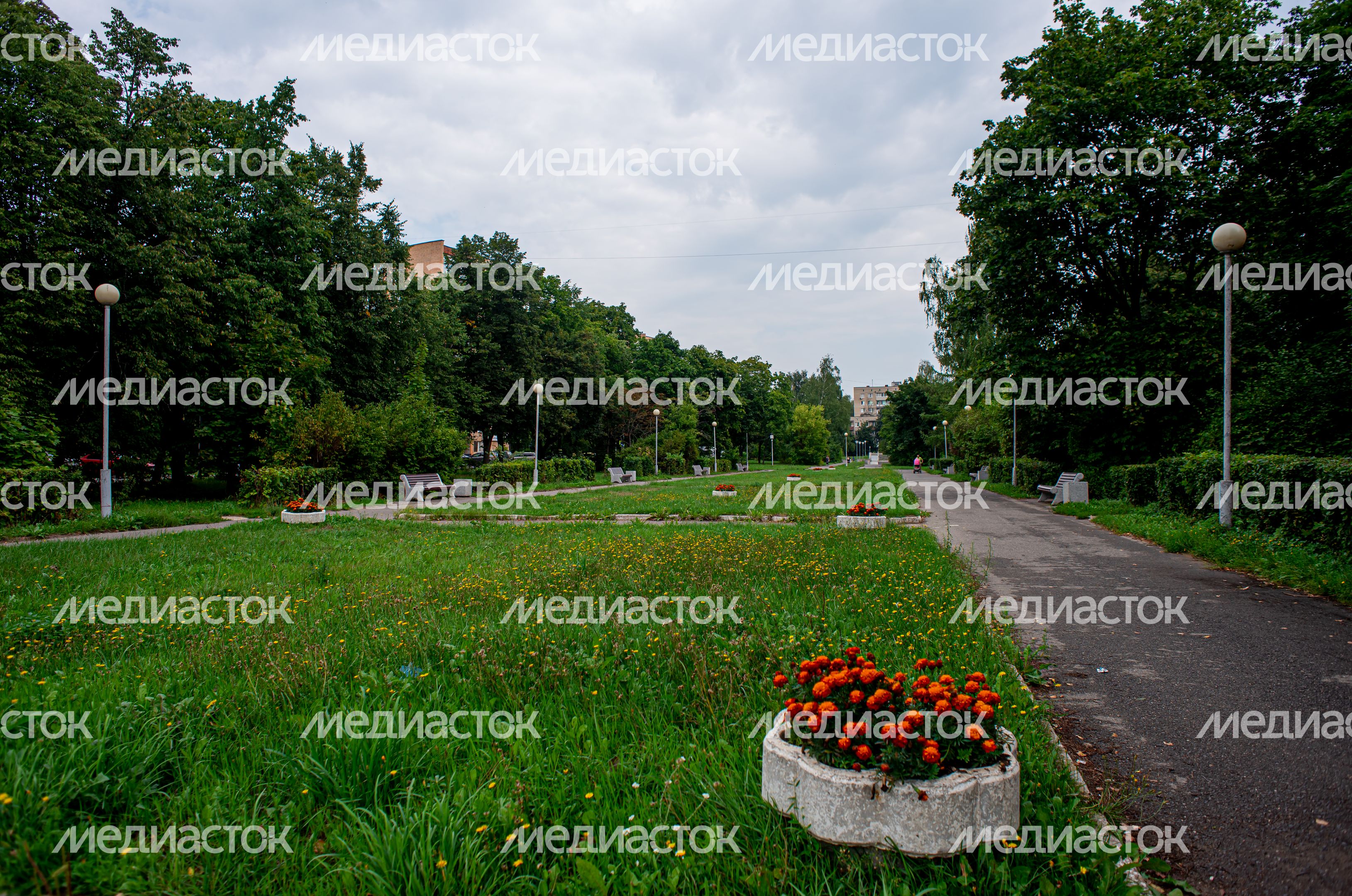 Летние виды города Черноголовка
