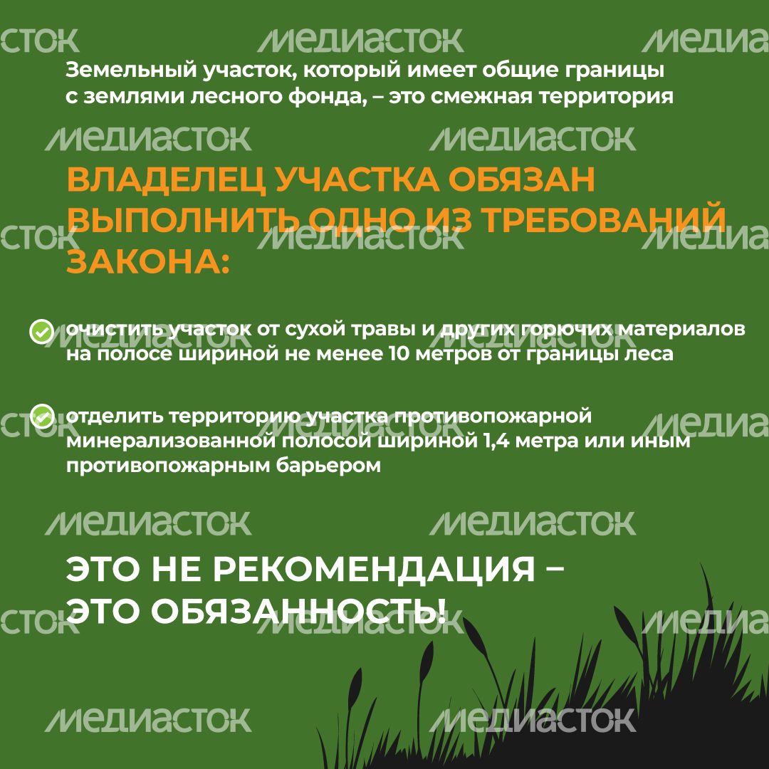 комлесхоз_пал_кв_7.jpg