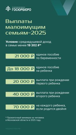 Рождение первого и второго ребенка вертикаль 09