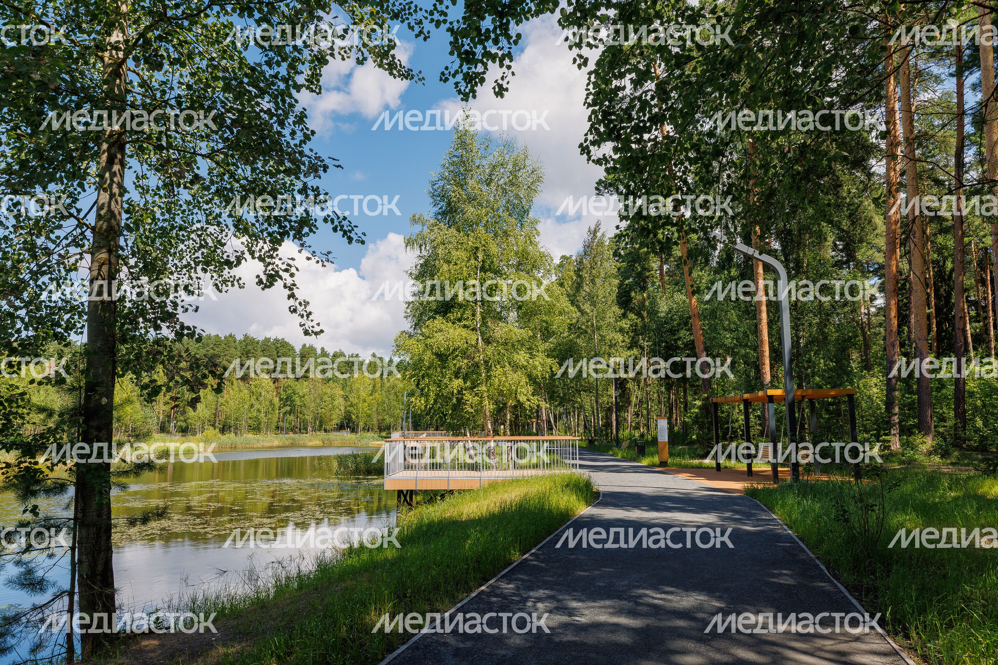 Набережная у пруда в лесопарке «Стрелки» города Орехово-Зуево