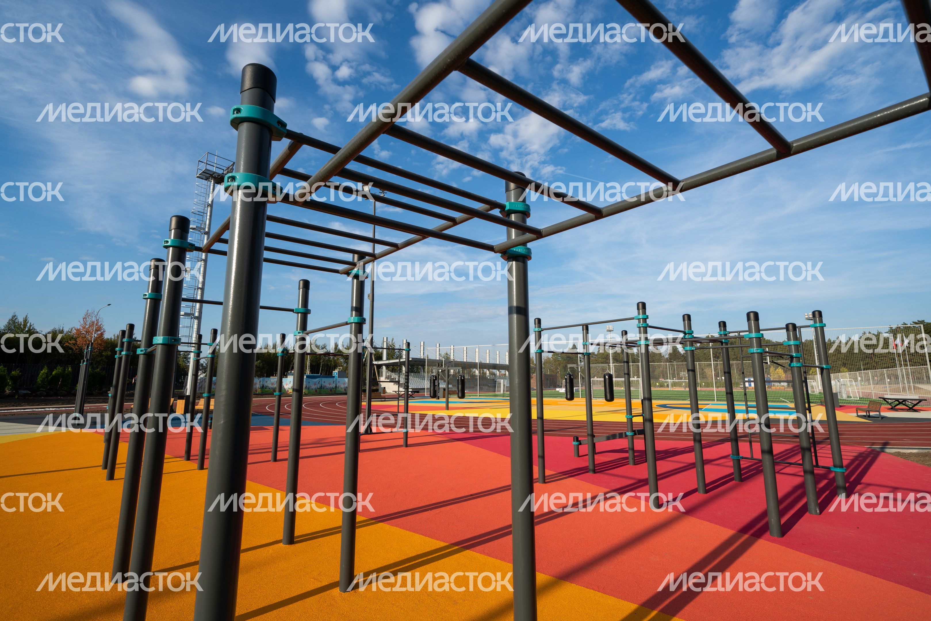 Истра. Областной технолицей им. В.И. Долгих