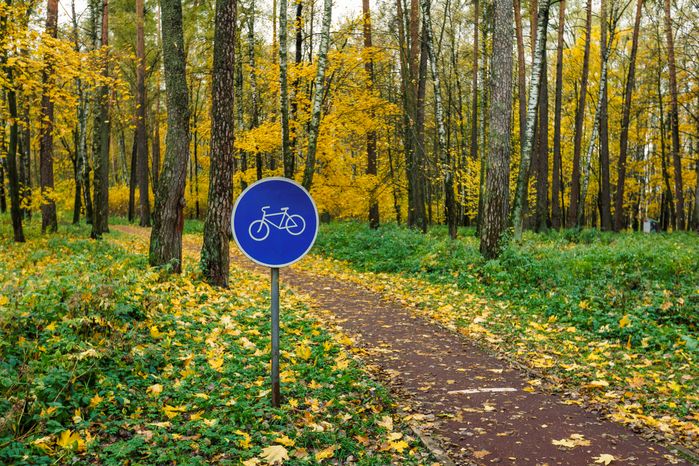 Велодорожка в Центральном парке культуры и отдыха в Ногинске осенью