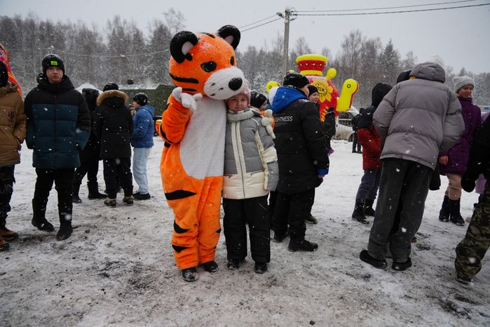 В Можайском городском округе спилили главную новогоднюю ель страны