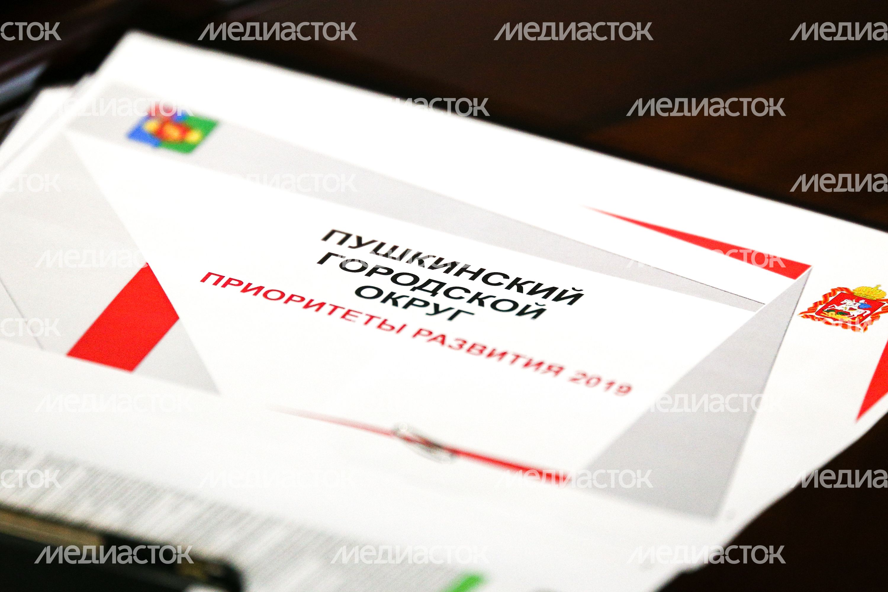 Встреча губернатора Подмосковья с активными жителями Пушкинского городского округа Встреча губернатора Подмосковья с активными жителями Пушкинского городского округа