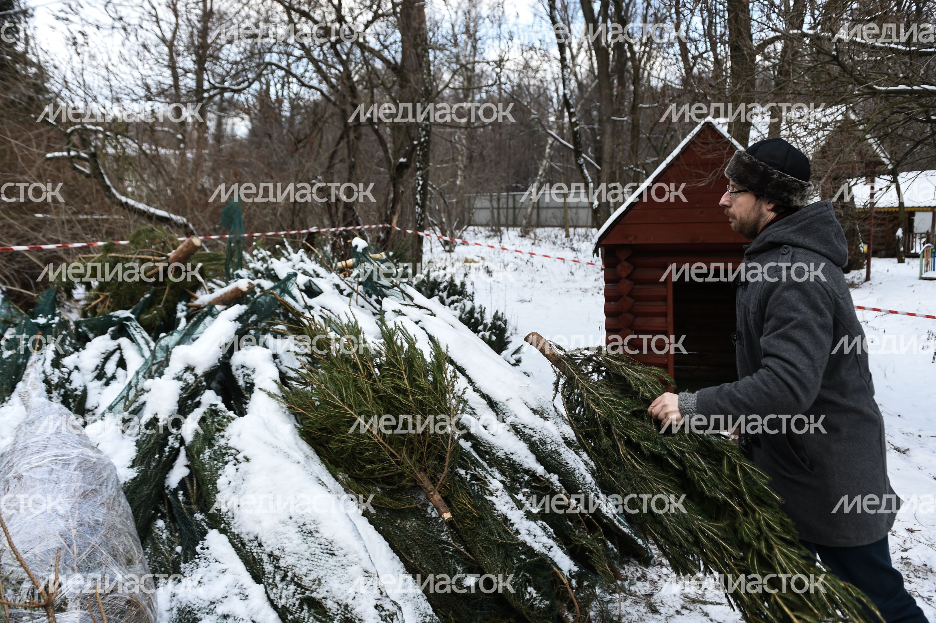 Утилизация елок после Нового года в Москве