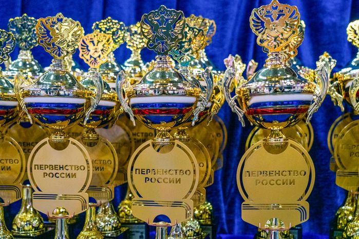 Чемпионат и Первенство России по восточному боевому единоборству сетокан в городе Видное Ленинского округа