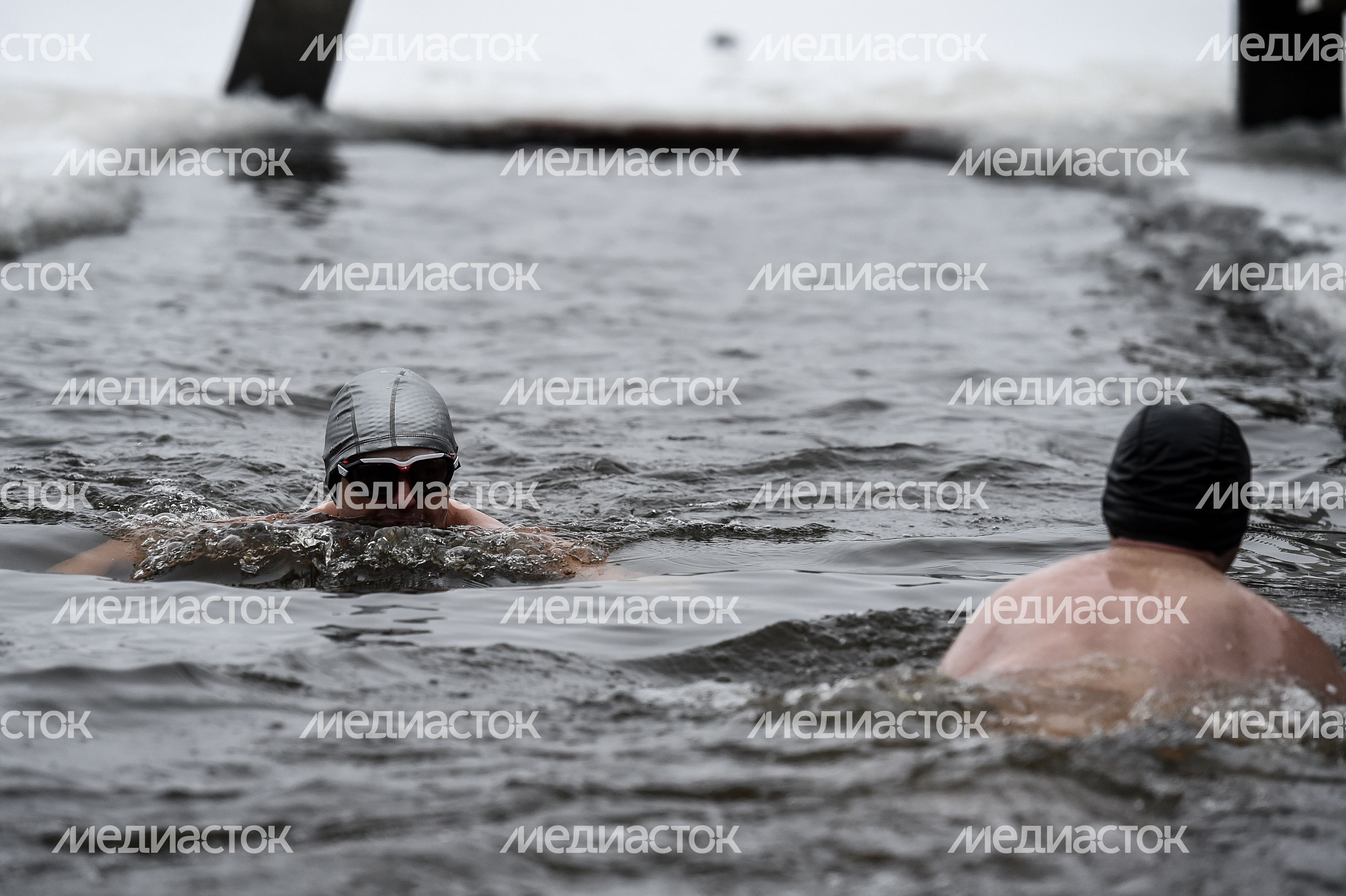 Купание моржей в Долгопрудном