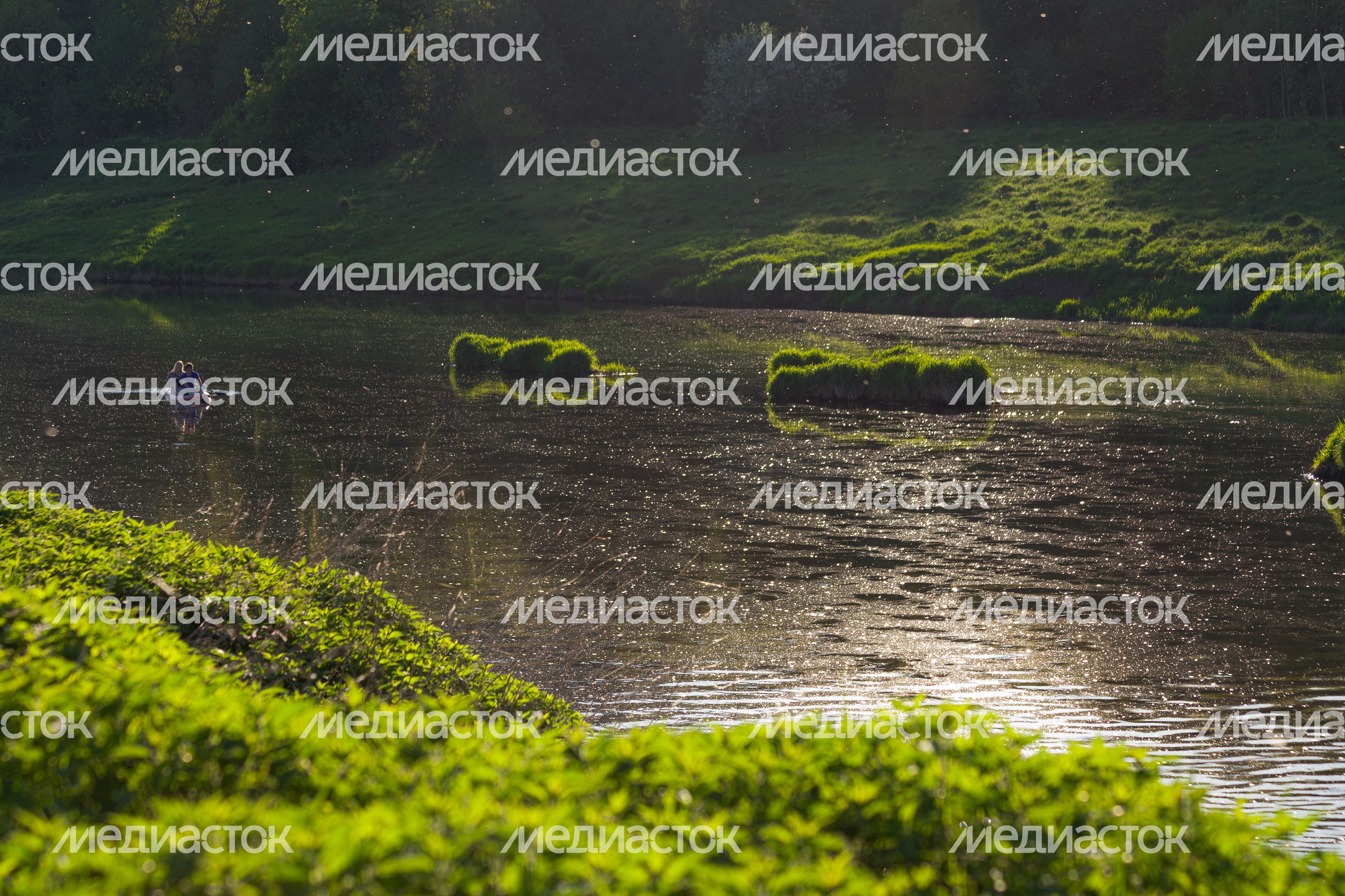Природа Подмосковья: берег Москвы-реки в Тучково Рузского округа Природа Подмосковья: берег Москвы-реки в Тучково Рузского округа