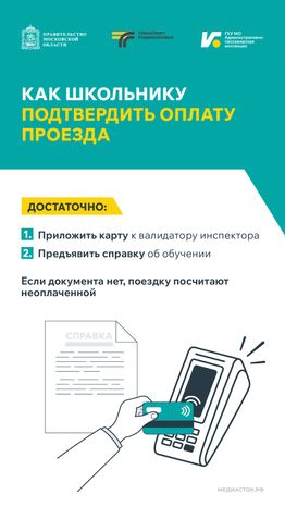 Поездки школьников в автобусах Вертикаль 08