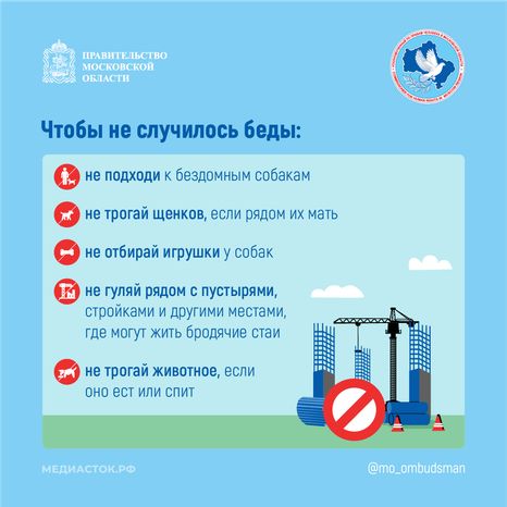 Осторожно злая собака квадрат 07
