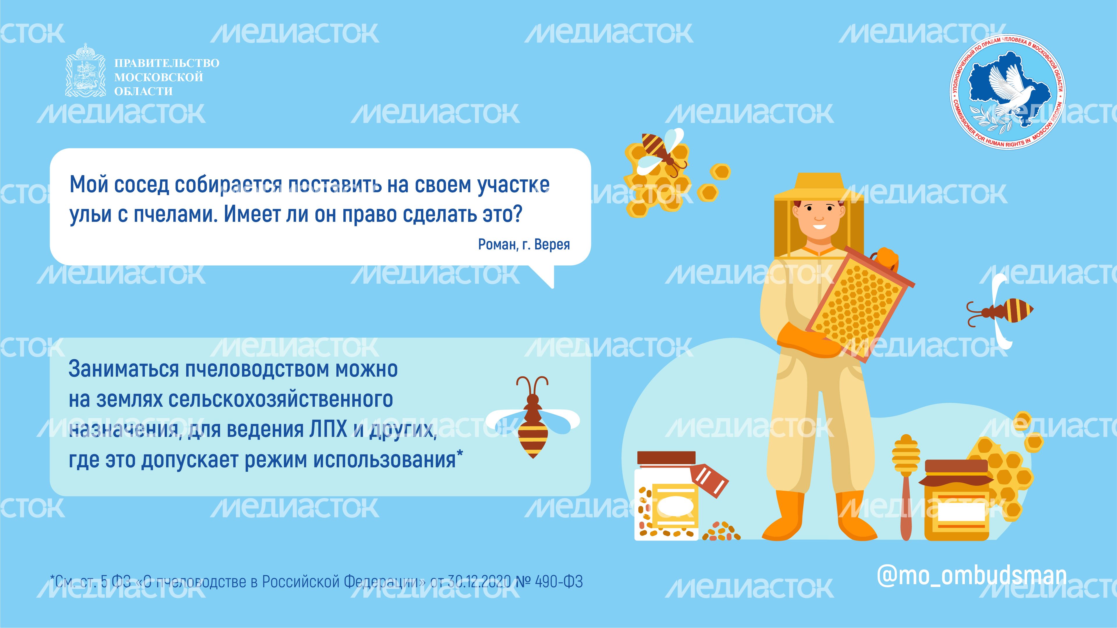 Горизонталь Вопрос-ответ. Пчеловодство-02.jpg