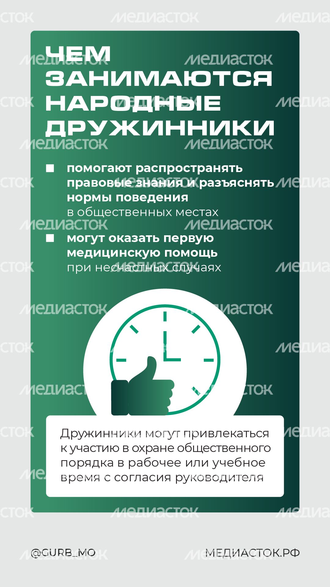Как стать народным дружинником вертикаль 04 Как стать народным дружинником вертикаль 04