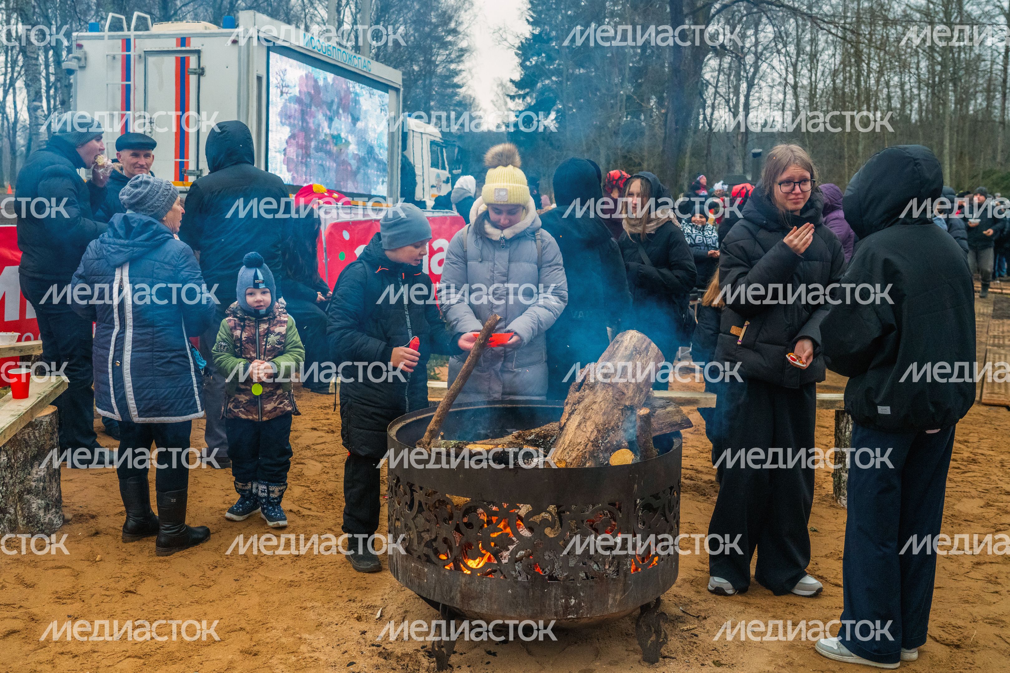 Главную новогоднюю елку страны спилили в Рузском округе Главную новогоднюю елку страны спилили в Рузском округе