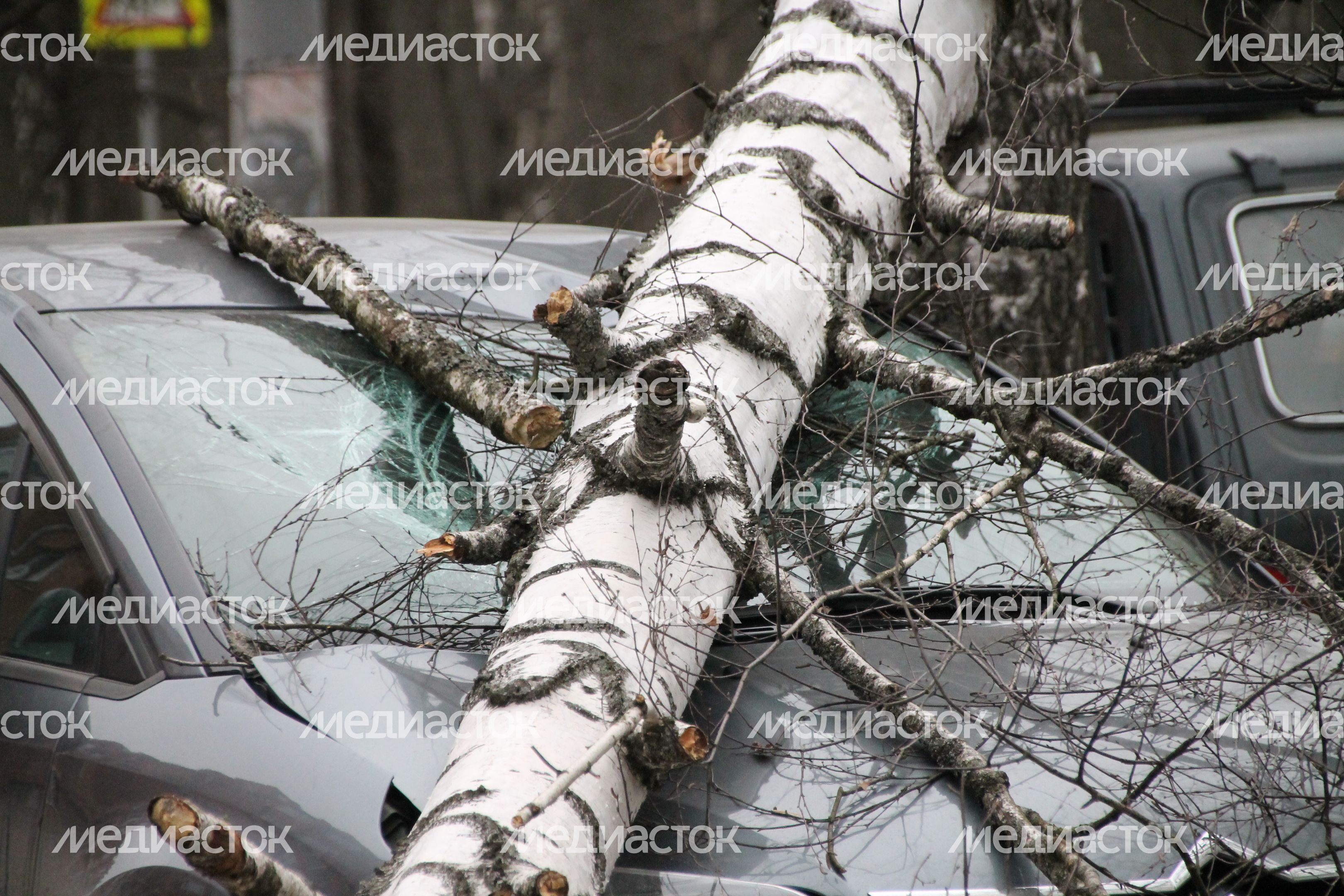 Последствия сильного ветра в Красноармейске