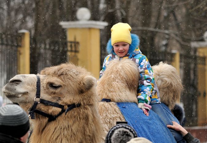 Масленичные гуляния в Ступино