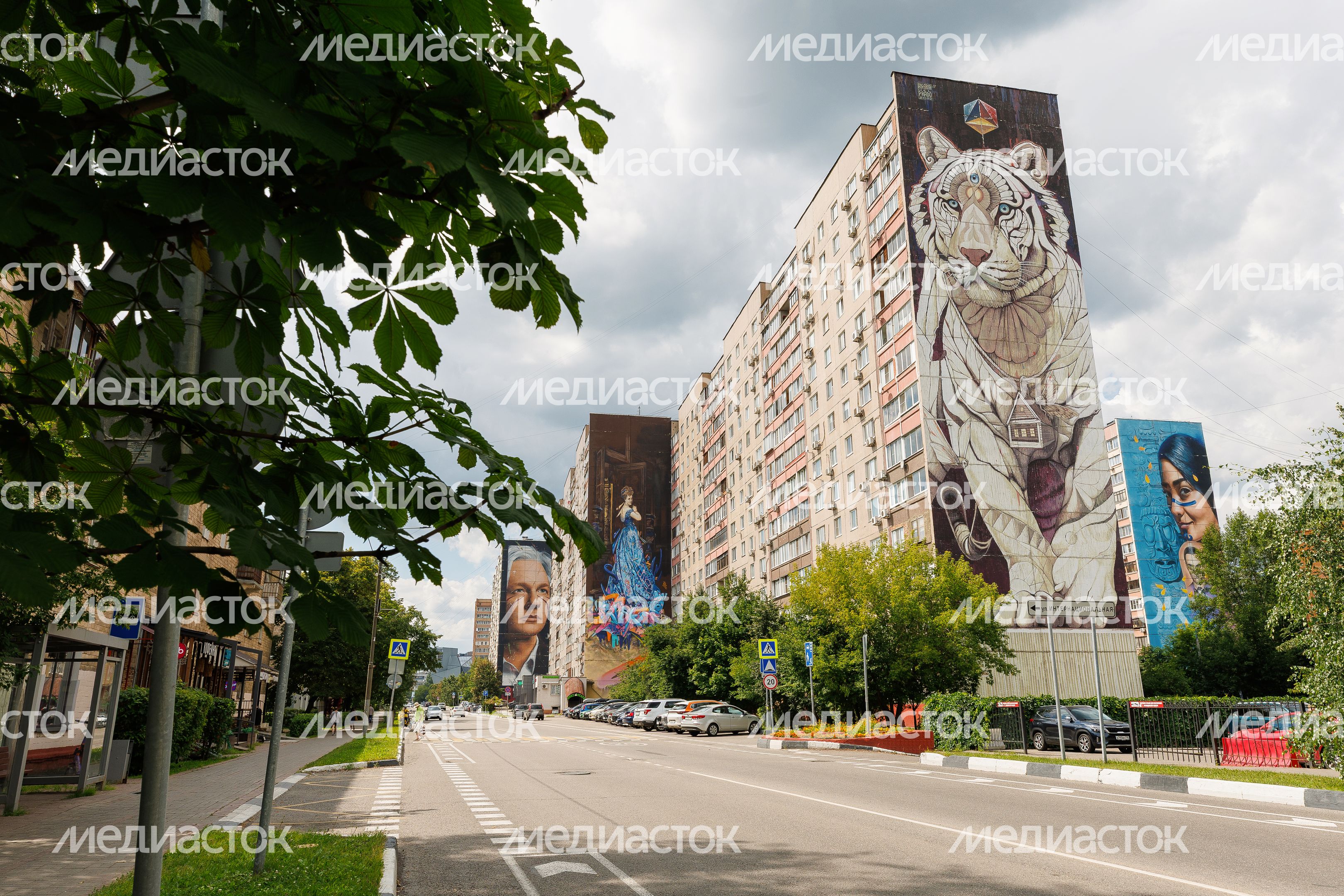 Муралы в Железнодорожном, Балашиха