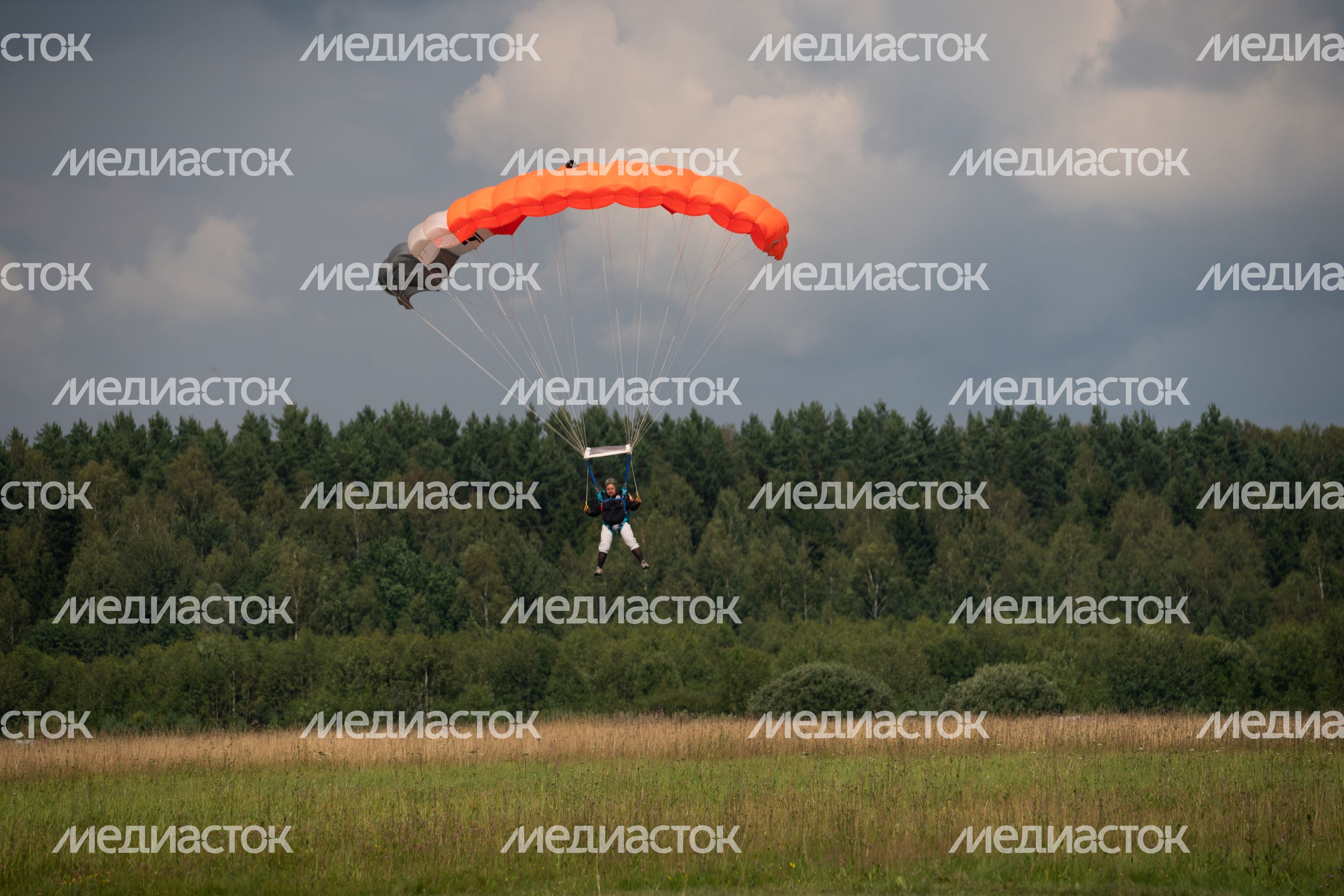 Чехов. День ВДВ на аэродроме ДОСААФ