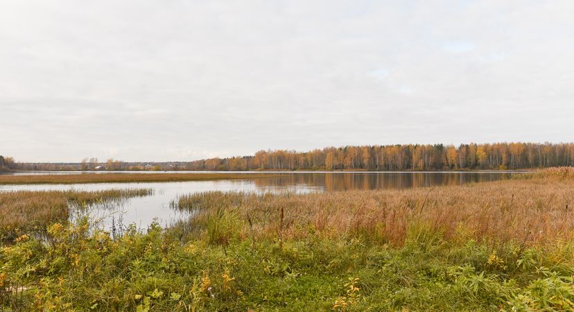Памятник подводной лодке К-19 и виды села Никульское