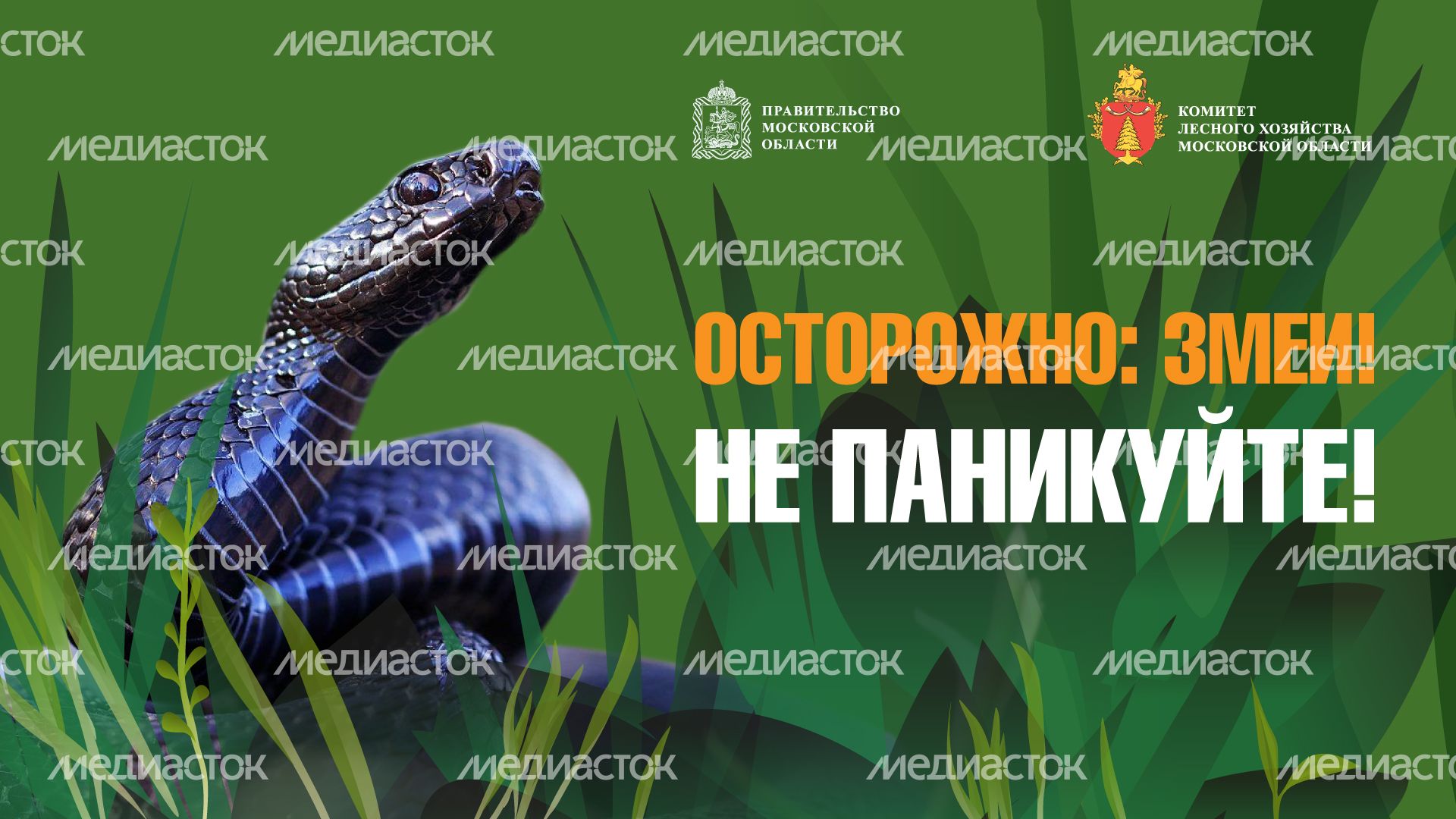 уппр_змеи_гор_1