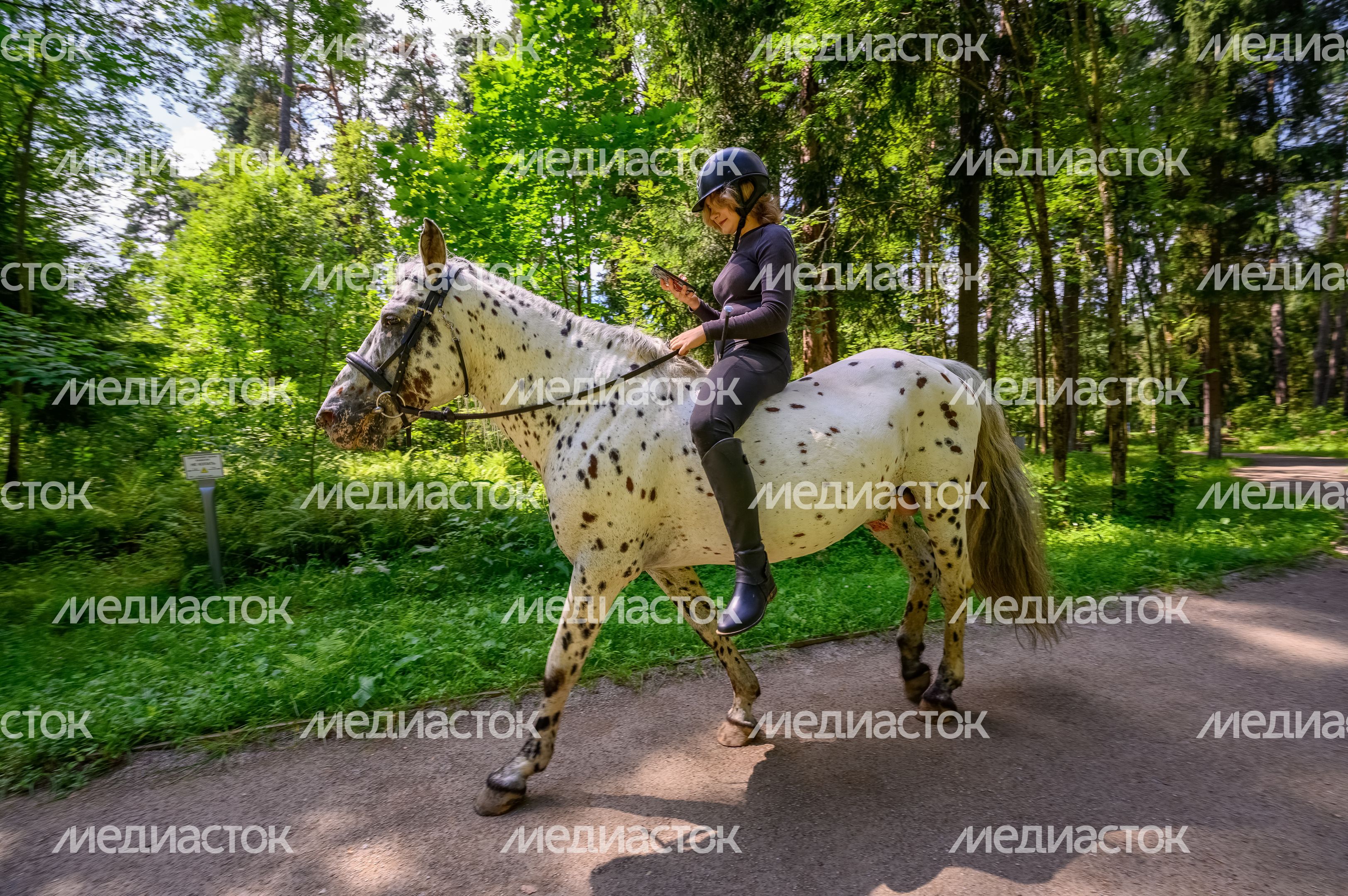 Прогулка верхом на лошади в лесопарке «Северный» города Пушкино летом Прогулка верхом на лошади в лесопарке «Северный» города Пушкино летом