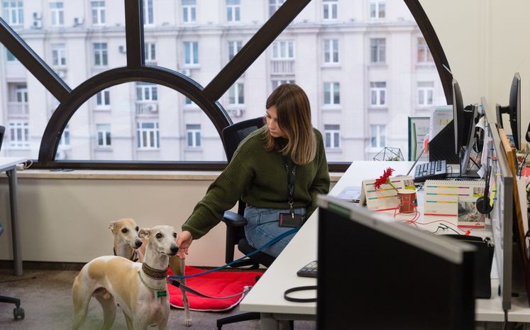 Pet‑friendly офис Purina