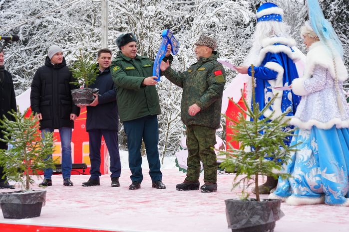 В Можайском городском округе спилили главную новогоднюю ель страны
