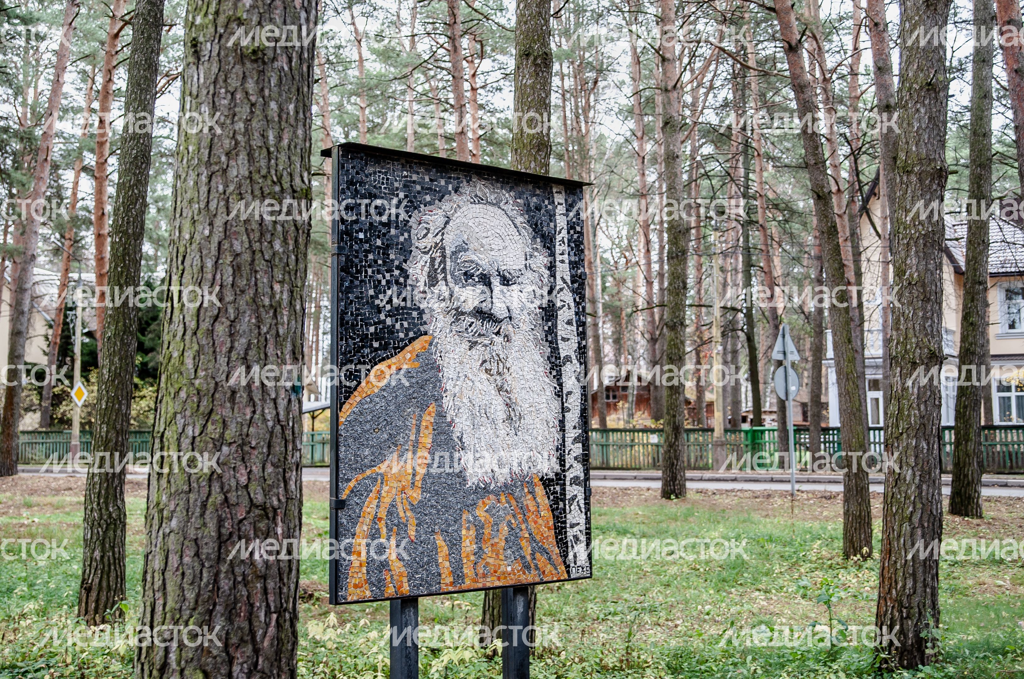 Виды города Дубна