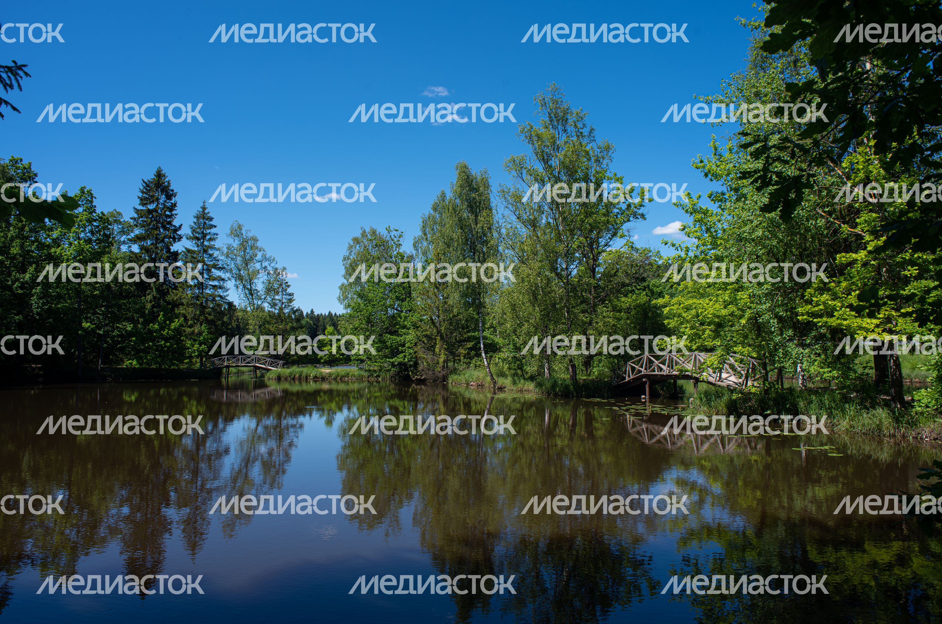 Летние виды Музея-заповедника «Абрамцево»