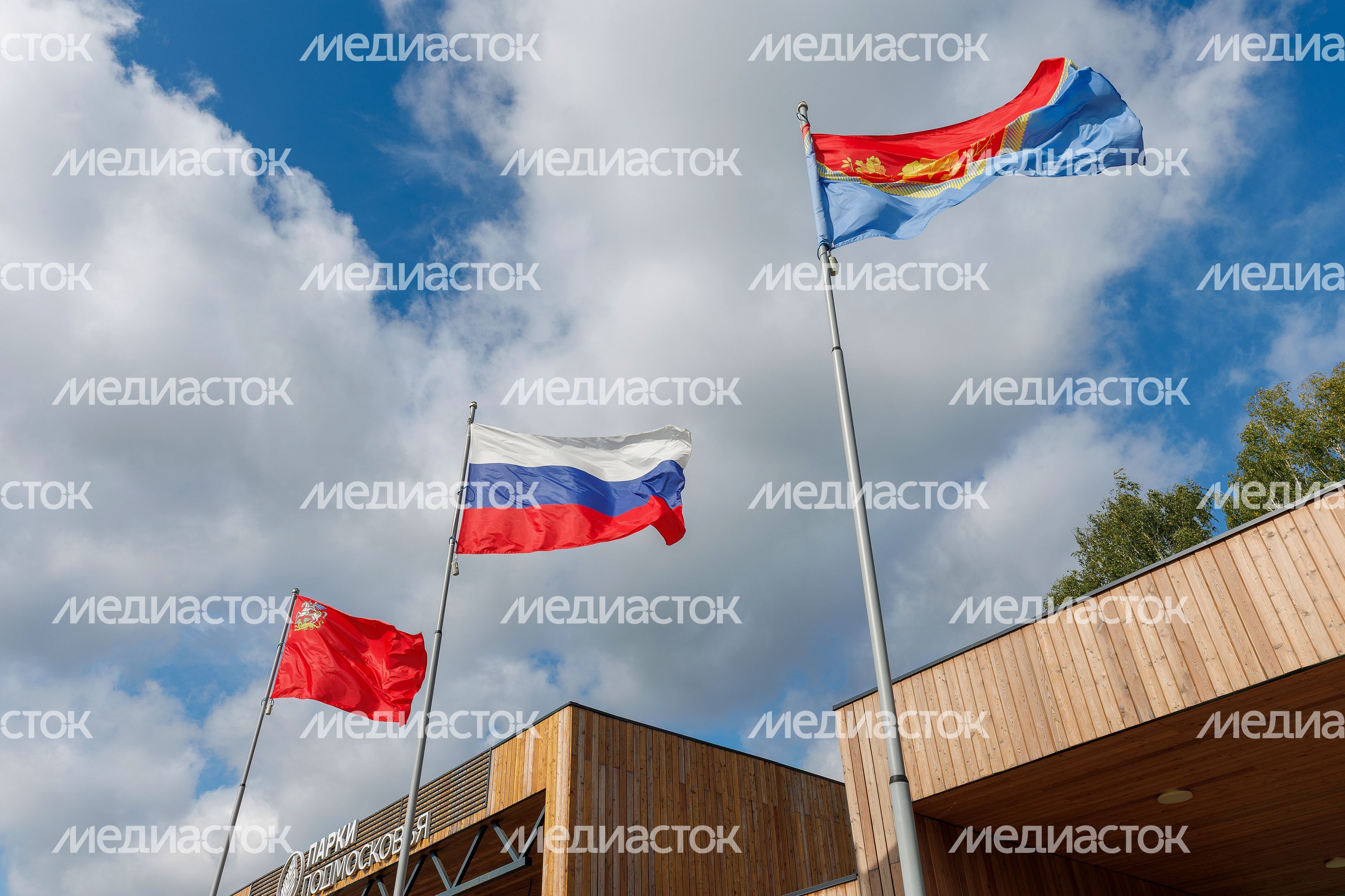 Сцена в парке «Меленки» Павловского Посада Сцена в парке «Меленки» Павловского Посада