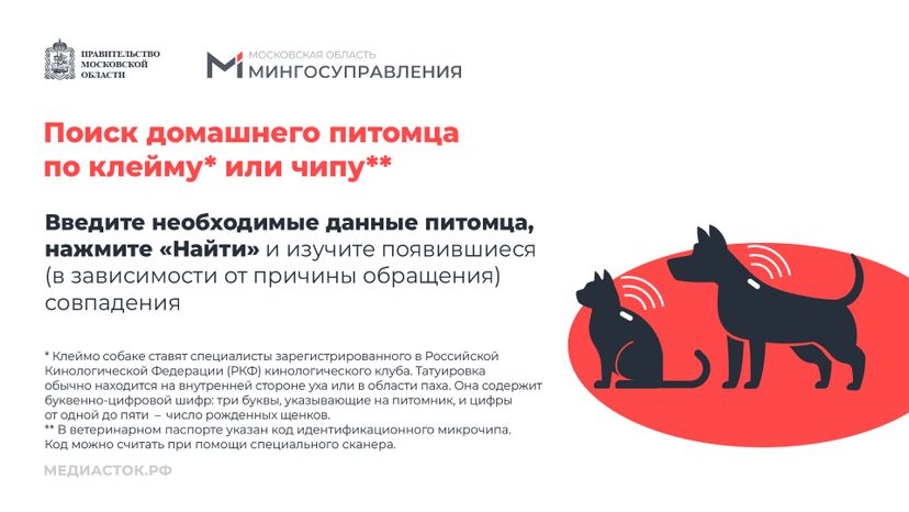 Домашние животные горизонталь 05