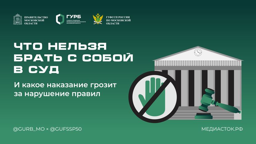 Что нельзя брать с собой в суд Горизонталь 01 С гербом МО